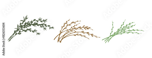 A collection of willow branches. A colorful vector illustration in a flat design. It's springtime. Hand-drawn art.

