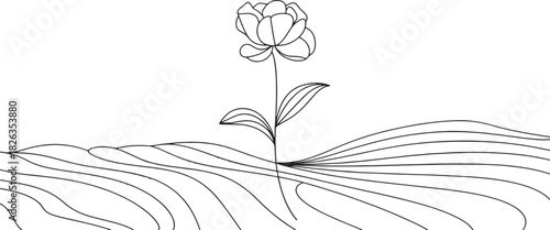 hand drawn flower