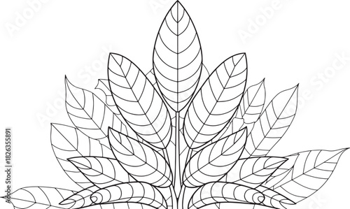 black and white leaves