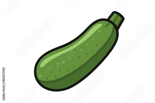 Fresh green zucchini vegetable isolated on white background for healthy food concepts