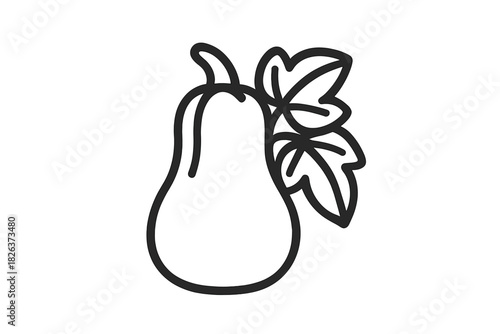 Butternut squash gourd with leaves, minimalist outline icon for autumn harvest