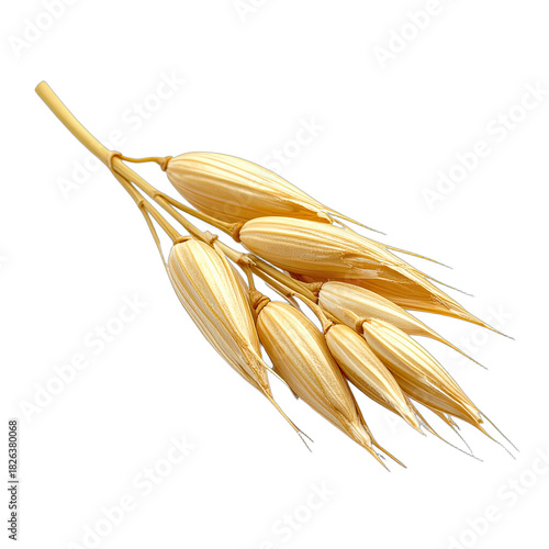 Close-up macro photograph of several oat grains against a stark black background.