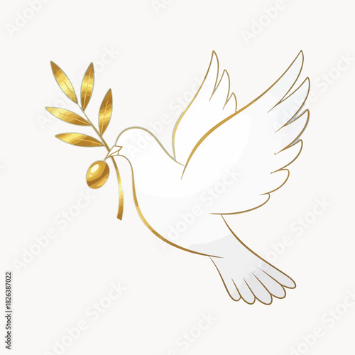 White dove  isolated on white background