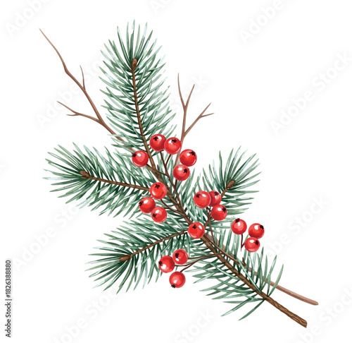 Watercolor Christmas Poinsettia Floral Illustration, Holiday Botanical Arrangement on White