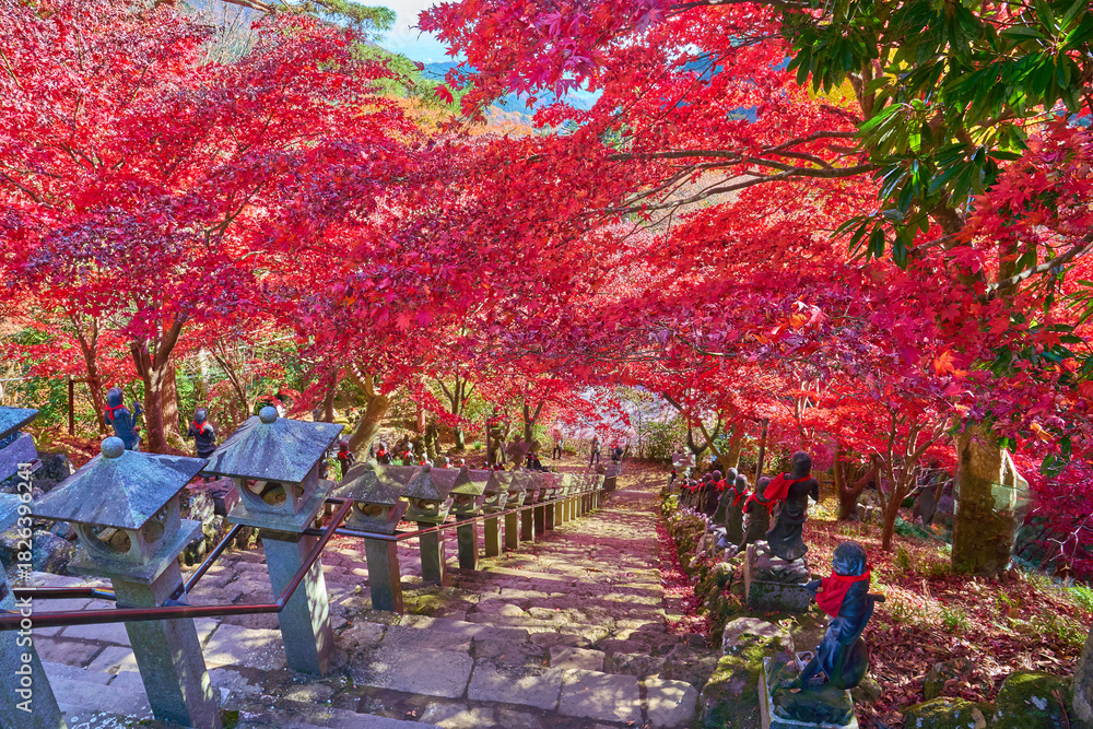 Fototapeta premium 秋の神奈川県伊勢原市の大山寺の石段上から童子像と紅葉を見る