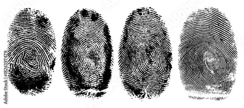 Distinct vector black ink impressions reveal the unique and intricate ridge patterns that define individual human identity.