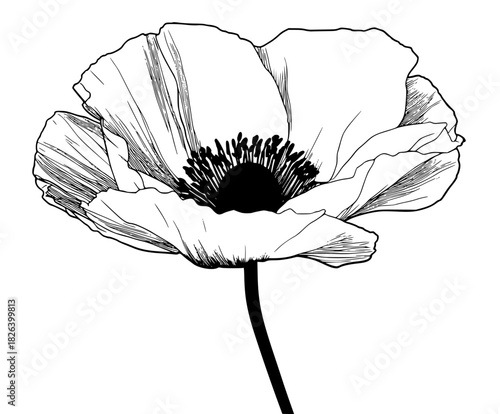 symbol remembrance sacrifice | Clean, isolated vector art for creative projects.