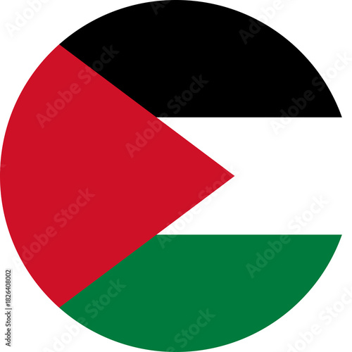 Palestine flag button