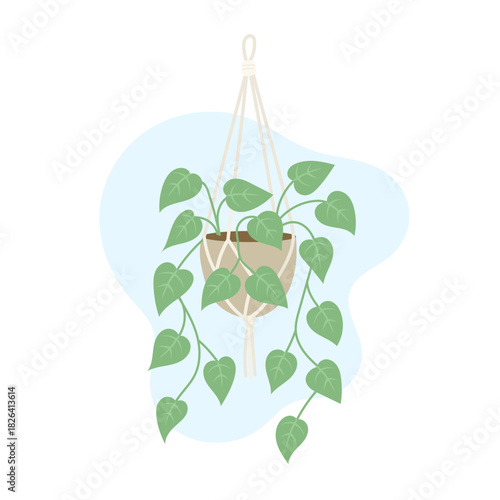 Bright indoor setup showcases cascading ivy flowing from hanging pot, ivy adding airy botanical vibe, calming natural mood, stylish greenery accent ideal for modern interiors and nature-focused decor.
