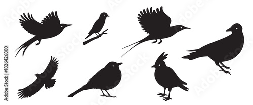 Delightful collection of diverse bird silhouettes to elevate your designs, perfect for nature lovers, ornithology enthusiasts, and creative projects seeking elegant avian elements
