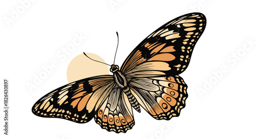 A beautifully detailed illustration of a butterfly with elegant orange and black patterned wings, set against a soft beige circle.