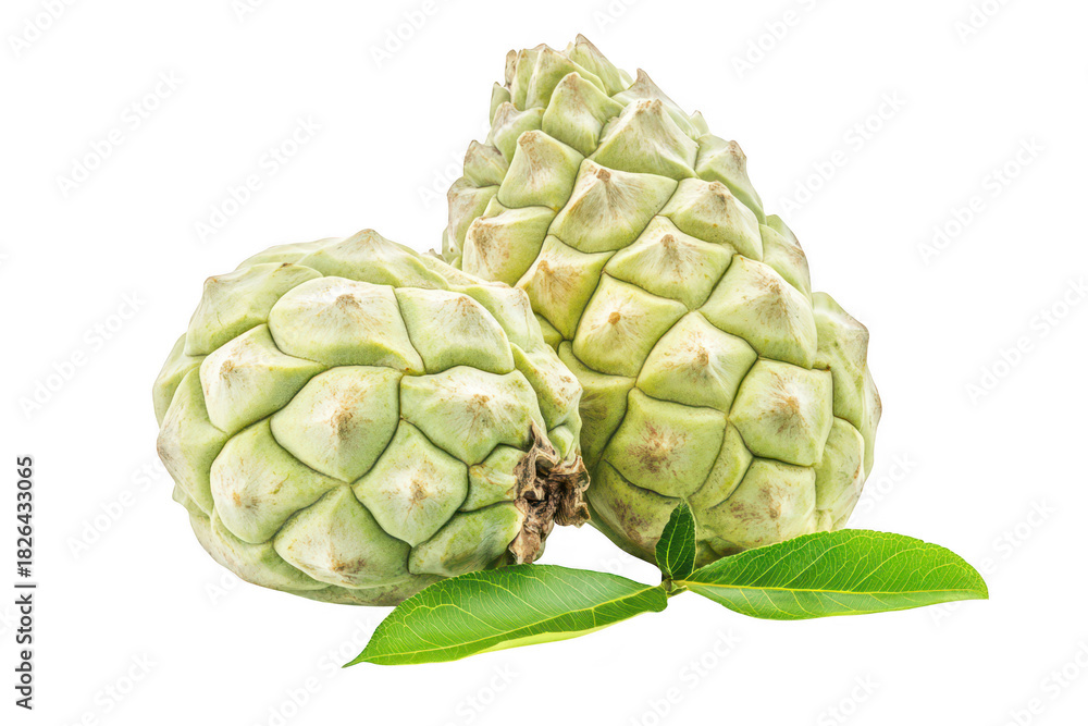 Fototapeta premium Two green cherimoya fruits with textured skin and leafy accents. placed on a white background. their natural appearance for culinary or health-related uses