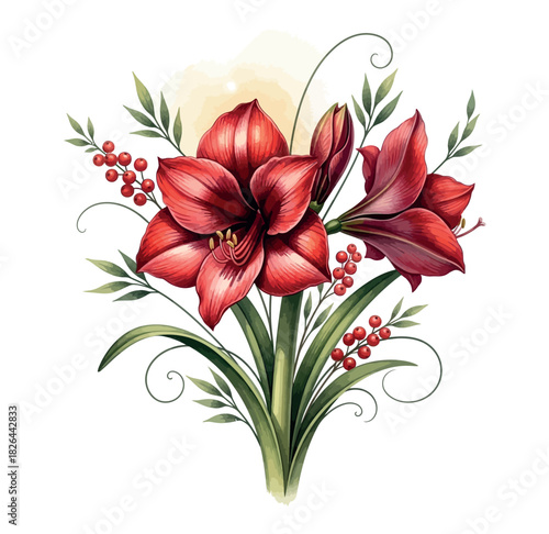 Amaryllis flower Illustration