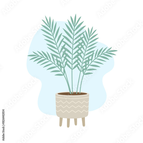 Light indoor scene showcases airy areca leaves creating fresh tropical atmosphere, areca bringing calming greenery vibe, soft biophilic mood, stylish botanical accent perfect for modern home decor.