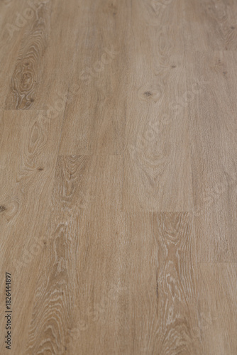 Vertical Close-Up of Oak Vinyl Flooring Panels