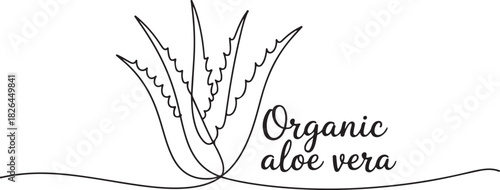 Aloe vera plant sketch, simple vector illustration, background, label design. One continuous line drawing art illustration with lettering organic aloe vera. one line Icon drawing