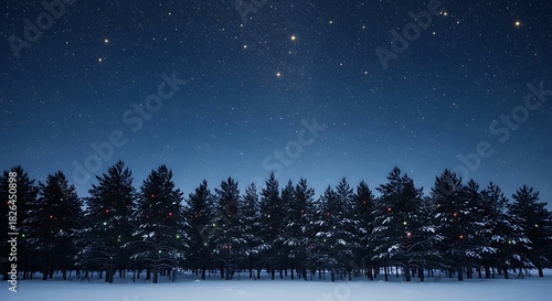 Winter night scene with snow covered trees and starry sky landscape