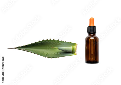 Isolated Agave leaf and amber essential oil bottle for aromatherapy and beauty skincare