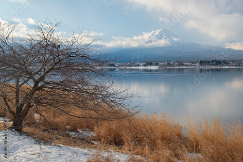 Fuji mountain in winter at Lake Kawaguchiko, Japan