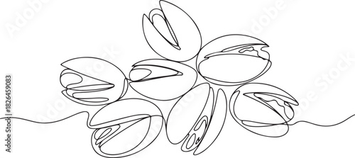 Tasty Pistachio Drawing, Organic pistachios in the sun, Healthy food and snack. one line Icon drawing