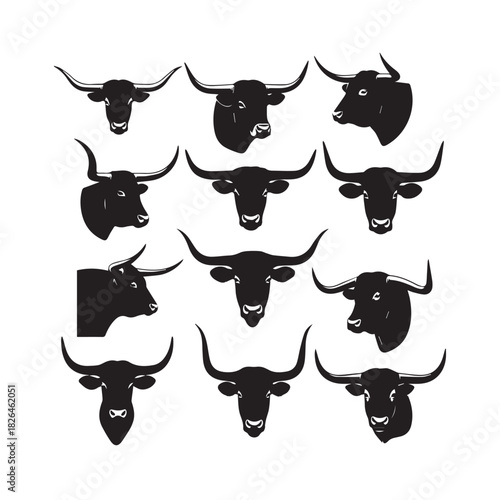 Bull Longhorn Head Vector Set