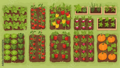 A garden with rows of vegetables and herbs in raised beds