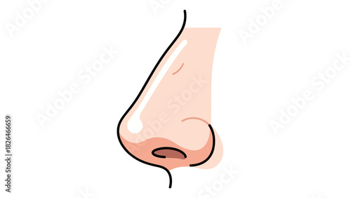 A minimalist illustration of a human nose side profile