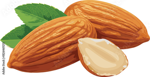 Whole and Halved Almond Nuts with Fresh Green Leaves, Healthy Superfood Snack Isolated Vector Illustration, Detailed Close-up of Raw Kernels for Baking, Cooking, and Nutrition Background Element.