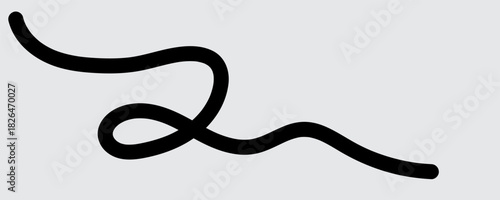 Squiggle Curly Line. Decorative Design Element. vector file illustration.