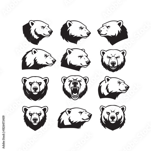 Bear Head Portrait Vector Set