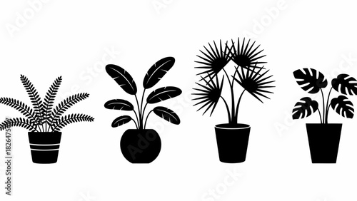 Elegant indoor plant collection in silhouette featuring a fern banana plant fan palm and monstera for home decor and botanical designs