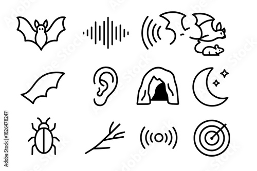 Bioacoustic Iconography. Line style icons of Bioacoustics: Bat, Sound Wave, Echo, Hunting Prey; Wings, Ear, Cave, Moon; Insect,