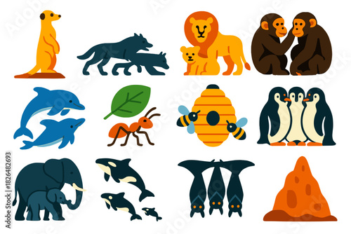 Social Animal Icons. Flat vector icons of social animal behavior: meerkat sentinel, wolf pack hunt, lion pride, chimp grooming,