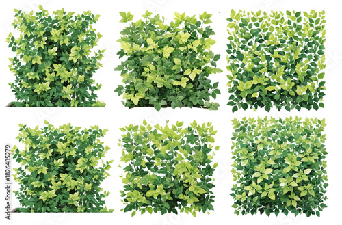 Architecture style entourage wall greening branch illustration