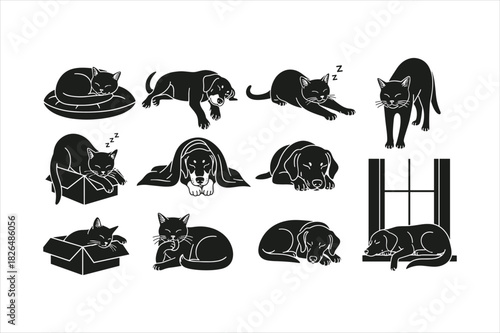 Collection of black cat silhouettes in various poses