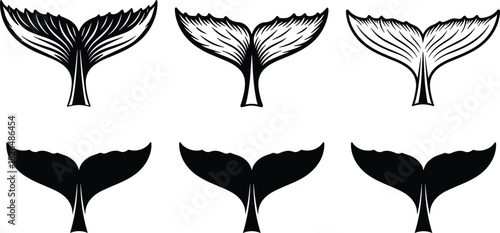 Whale tail vector, black and white illustration, marine animal silhouettes, ocean theme, fluke variations, aquatic design, sea life artwork, educational graphic
