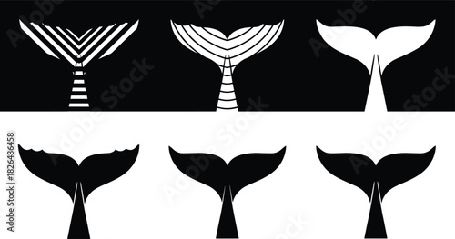 Whale tail vector, black and white illustration, striped fluke design, marine silhouette set, ocean-themed artwork, decorative aquatic composition