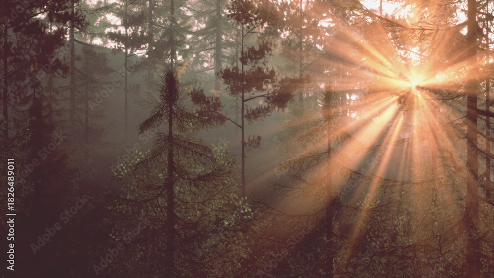 Fototapeta premium Soft rays of sunlight filter through tall trees in a quiet forest, creating a magical atmosphere during the early morning or late evening hours. Natural beauty shines brightly.