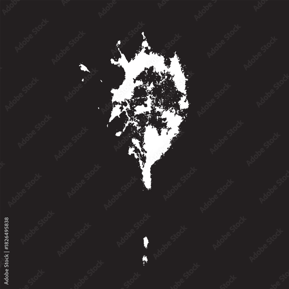 Fototapeta premium Grunge birds droppings black and white. Flat blots style vector illustration. Map. Abstract paint drop.