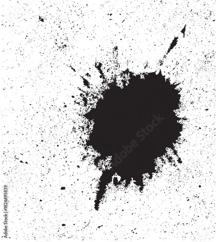 Grunge birds droppings black and white. Flat blots style vector illustration. Map. Abstract paint drop.