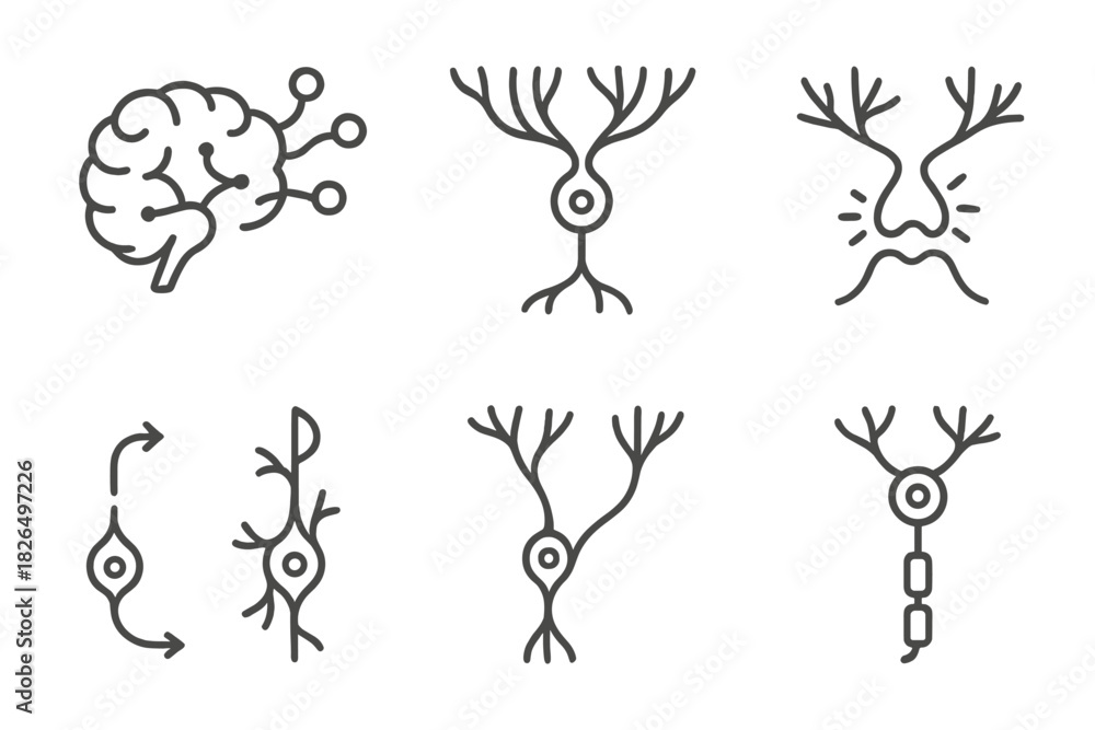 Obraz premium Neural Network Expansion. Line style icons of brain growth and rewiring: expanding neural network, growing dendrites, strengthened
