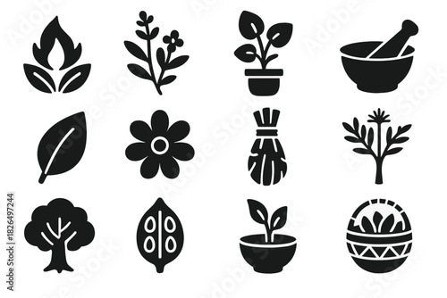Botanical Anthropology Icons. Solid style icons of Botanical Anthropology: sacred plant, medicinal herb, cultural flora, mortar