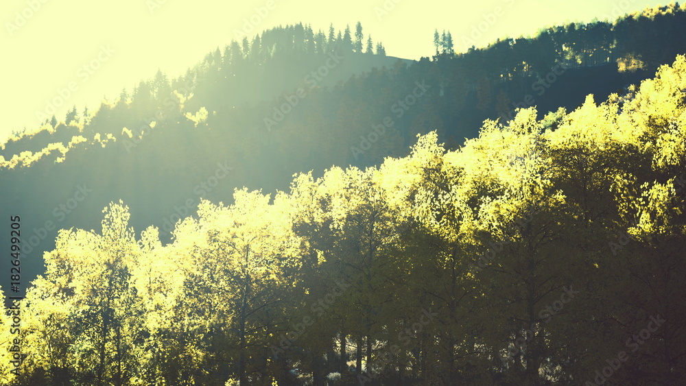 Naklejka premium Early morning light illuminates the vibrant trees on the hillside, creating a serene atmosphere. The landscape blends natures calmness with radiant sunlight, inviting peace and reflection.