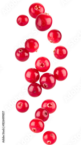 Fresh cranberries falling, vibrant ripe red berries dropping, healthy food ingredient on white background
