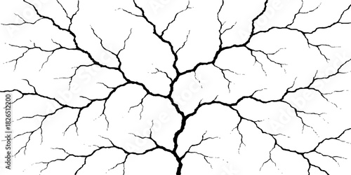 Old tree bark background with a dry, cracked, and grunge surface texture that resembles an abstract desert map or cracked earth pattern