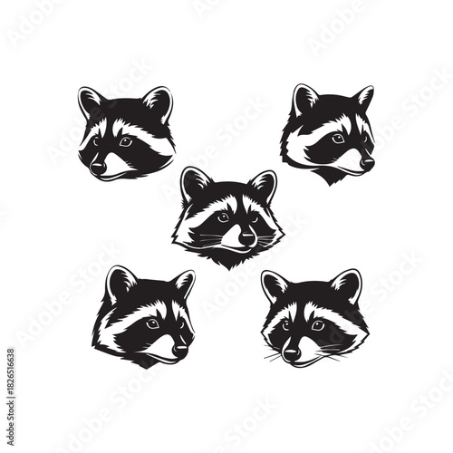 Raccoon Head Portrait Vector Mascot Setraccoon, head, mascot, animal, vector, illustration, black and white, logo, tattoo, bust, emblem, set, collection, isolated, wilderness, nocturnal, mask, bandit,