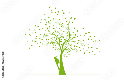 green woodpecker on a tree - vector illustration on transparent background