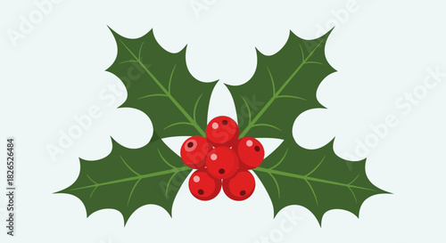 Holly branch with red berry cluster isolated on