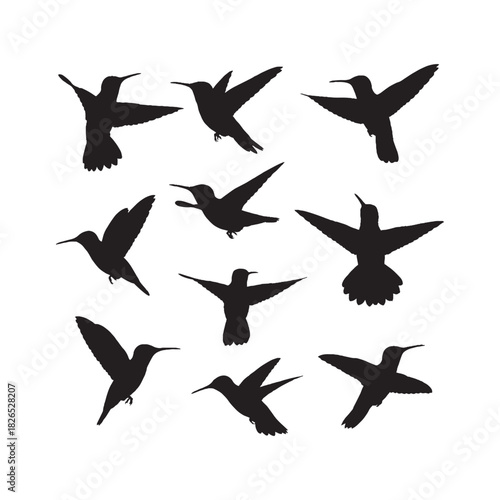 Hummingbird Silhouette Vector Set
