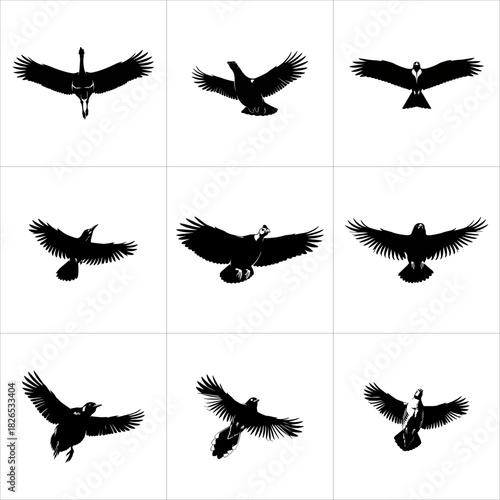 Black bird silhouettes in various flight poses isolated on white background